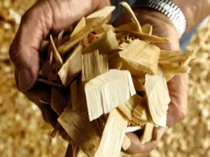 Kommt russisches Hackschnitzel-Export-Verbot ? (Euro-Umwelt-Gruppen für EU-Import-Verbot)