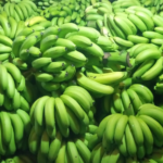 CHINA in ruhiger Position: Das Leben geht dahin, und entwickelt sich/ Bananenfarbe kann wesentlich sein