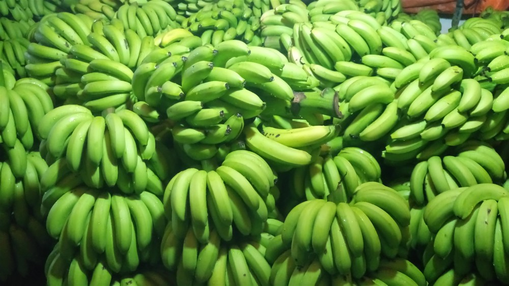 CHINA in ruhiger Position: Das Leben geht dahin, und entwickelt sich/ Bananenfarbe kann wesentlich sein