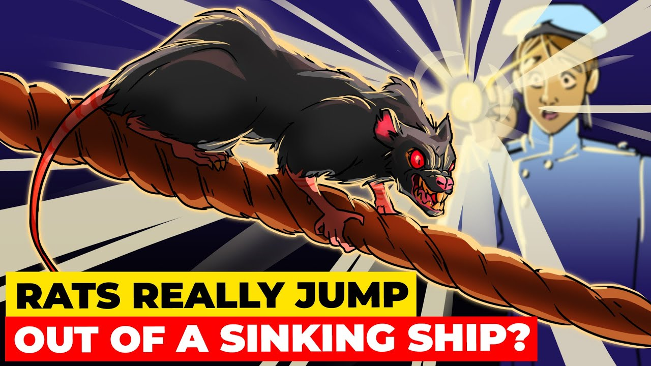 Ö-Polit-Prominenz flüchtet vor Habsburgern hin zur (mutmaßlichen) Trump-Zukunft/ T=Trump=Titanik-?!!