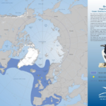 Trump und Pinguine in Grönland? Der Great Ark ist seit 1844 ausgestorben (Überjagung durch Euro-Fischer)