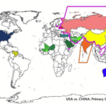 US-Strategen vs. RIIC-Strategen: „Feuer-Linien“ entlang der Heart-+Rimland-Front-Stellungen