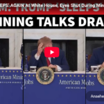 ai-cast +Clip/ WH-Seltene-Erden-Mining-Talks (mit Processing-Thema): wirkliche REE-5n+-Problemzone nicht erfasst/ Trump nickt ein (und versäumt nichts)