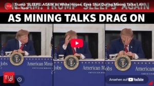 ai-cast +Clip/ WH-Seltene-Erden-Mining-Talks (mit Processing-Thema): wirkliche REE-5n+-Problemzone nicht erfasst/ Trump nickt ein (und versäumt nichts)